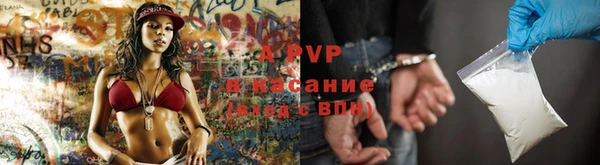 круглые Аркадак