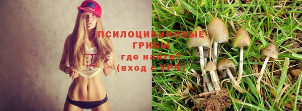 каннабис Арсеньев
